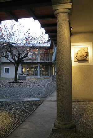 Museo Salvini